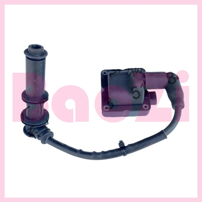 Ignition Coil Assembly for Aprilia Gpr125 Gpr150 Apr150-v