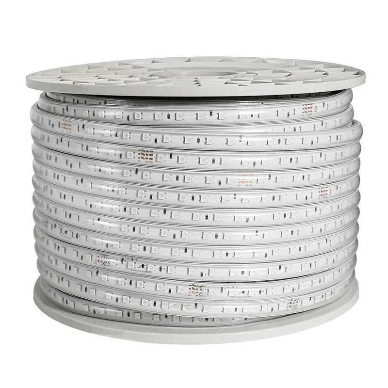 RGB LED Strip Light 220V Waterproof/Multi-Colors/Multi-Modes/Dimmable SMD5050 Rope Lamp With Remote/EU Plug for Garden Building