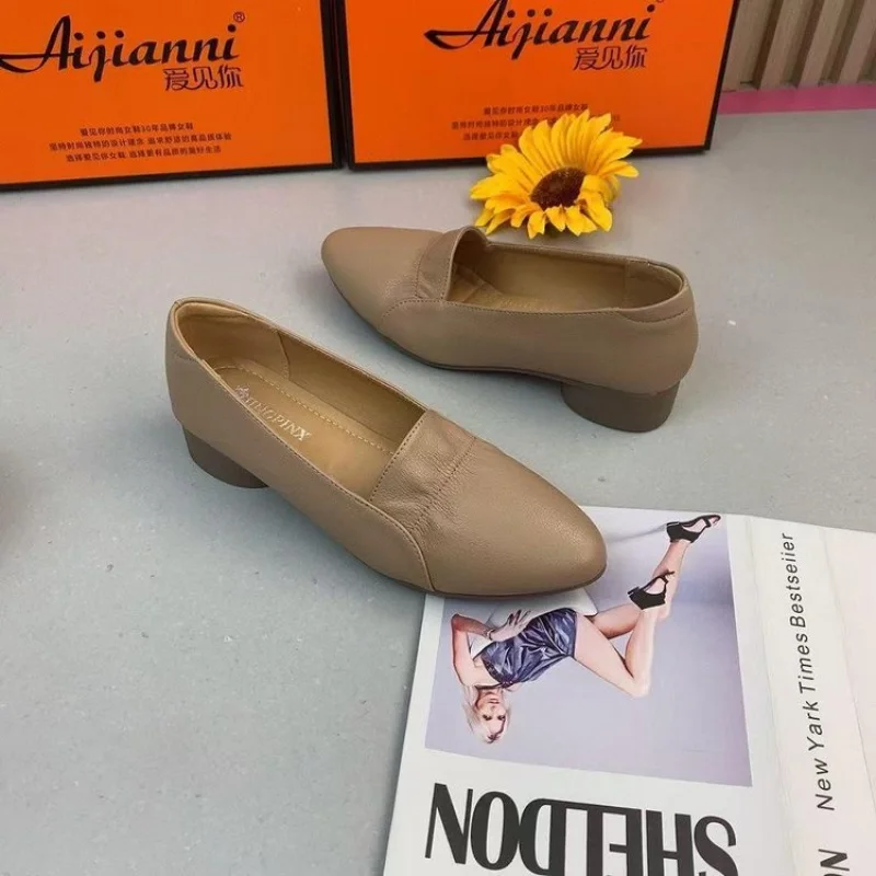 Spitze Zehen-Loafer für Damen, Frühling, neue, vielseitige Lederschuhe im französischen Stil mit flachem Mund, weiche Sohle, weiches Leder, Mutterschuhe