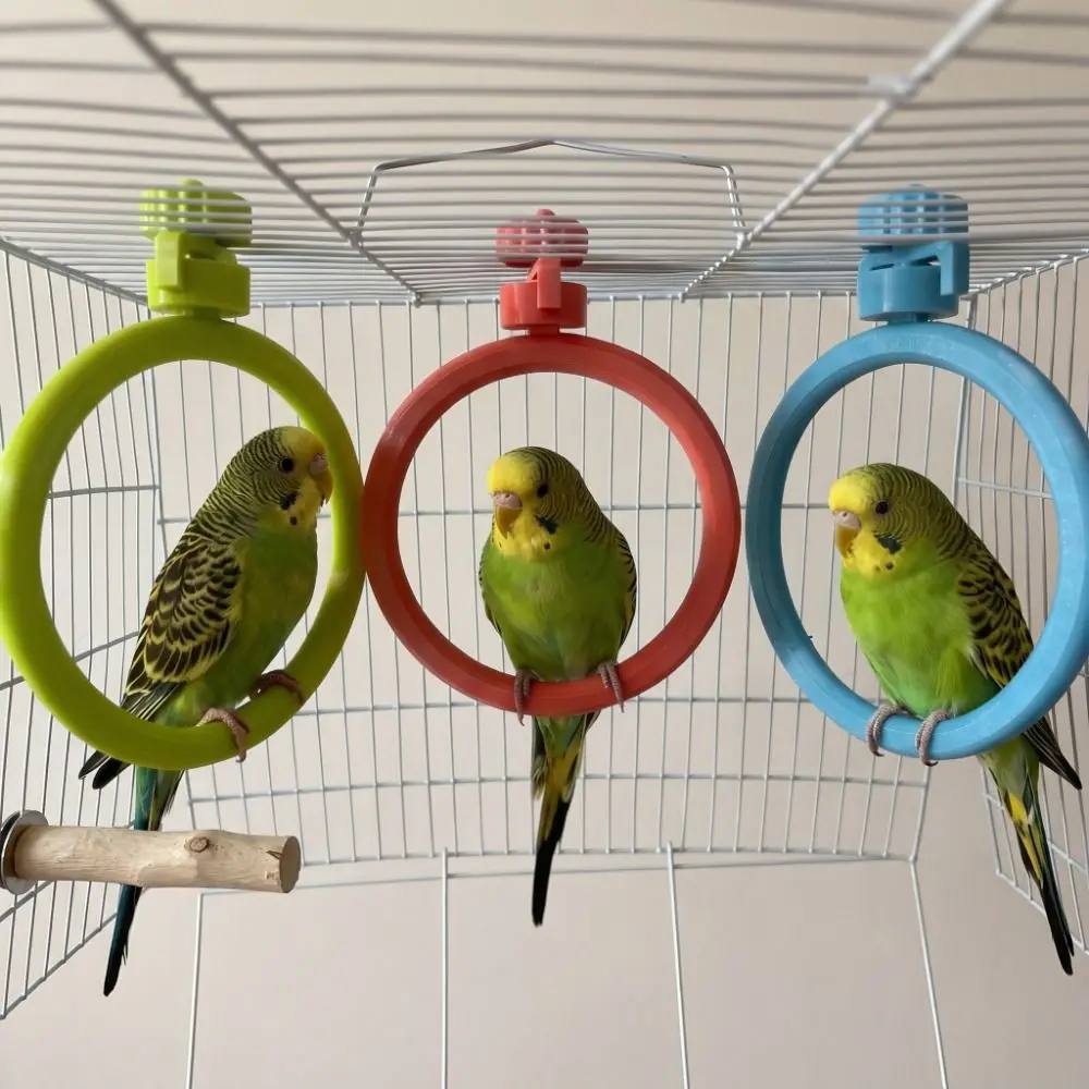 Safe Round Rotary Bird Perch Comfortable Grip Quiet Parrot Play Rack Detachable Easy Assemble Rotating Bird Stand Cockatoos