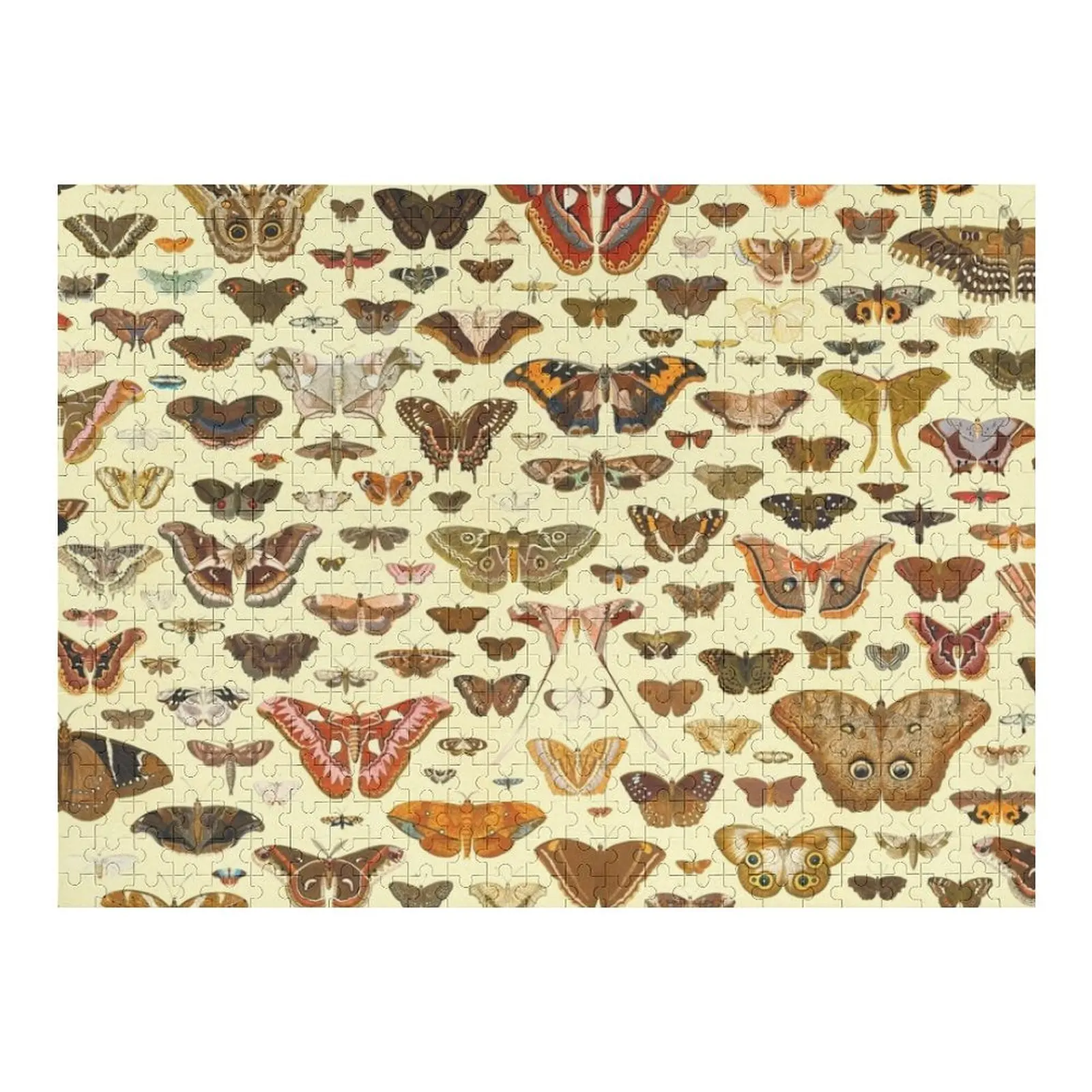 

Collection of Vintage Butterflies and Moths Jigsaw Puzzle Personalized Name Custom Child Gift Puzzle