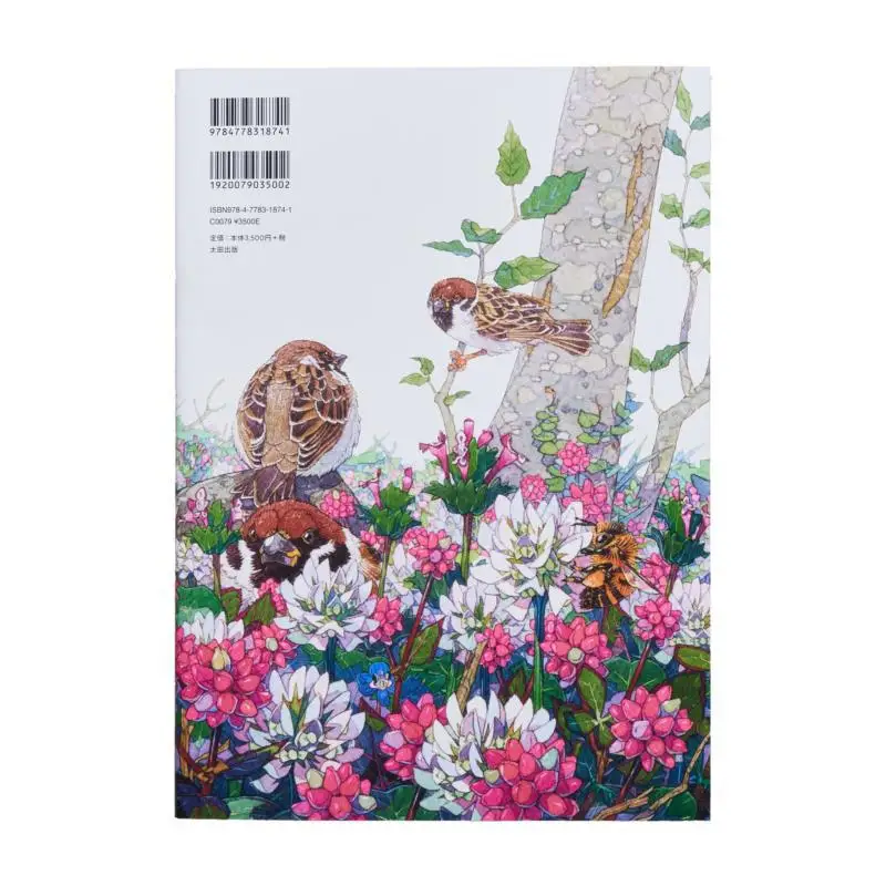 Takao Watanabes Works Takao Watanabe Ota Publishing 9784778318741 Book