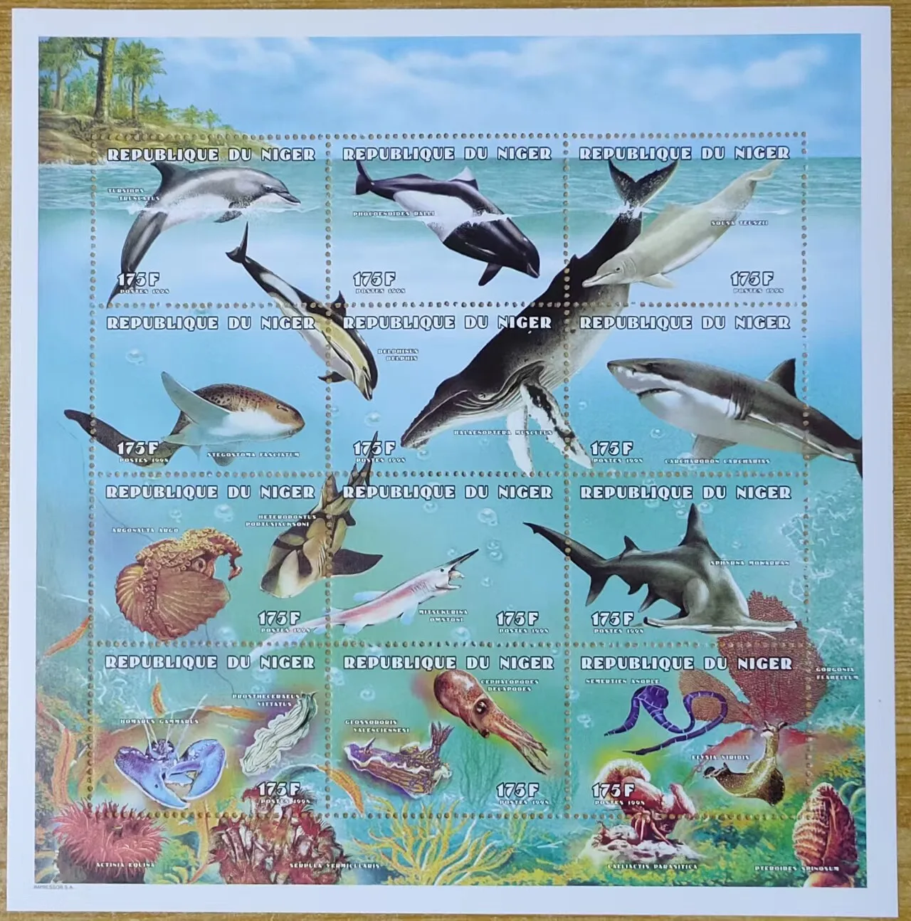 

Почтовые марки Нигера 1998 года: Морская жизнь, киты, акулы, 1 сувенирный лист, 12 новых коллекционных почтовых марок, материалы для скрапбукинга