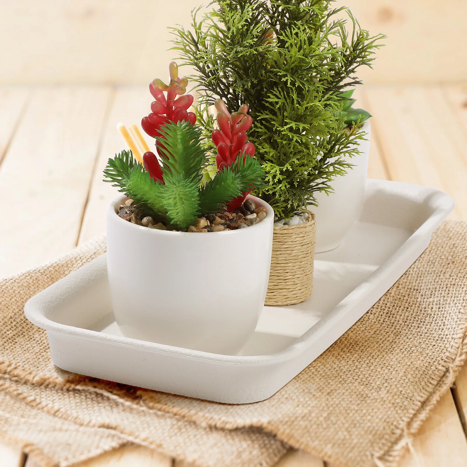 

5pcs Rectangular Water Tray Extra Small Beige Plastic Plant Pots Tray Durable PP Resin Heat Resistant Easy Clean Bonsai