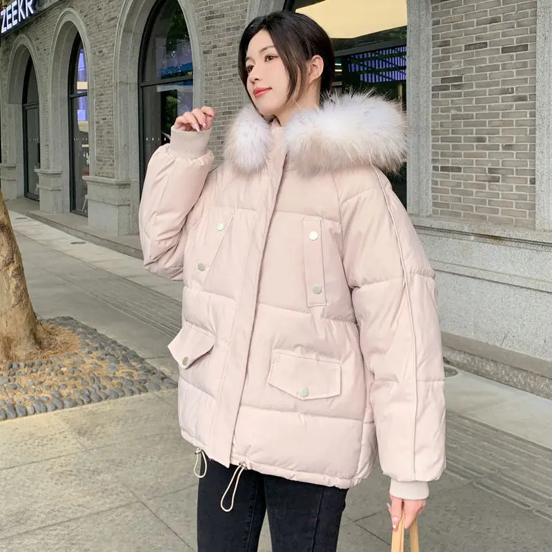 

2023 New Women Down Cotton Coat Winter Jacket Female Short Parkas Loose Thick Warm Outwear Hooded Fur Collar Versatile Overcoat