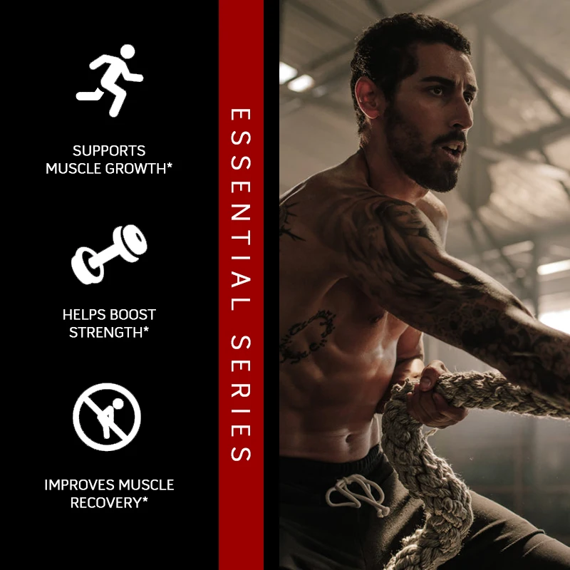 Catfit Creatine Monohydrate Capsules Improve Energy Endurance Recognition Muscle Strength Growth & Repair Whey Protein for Gym