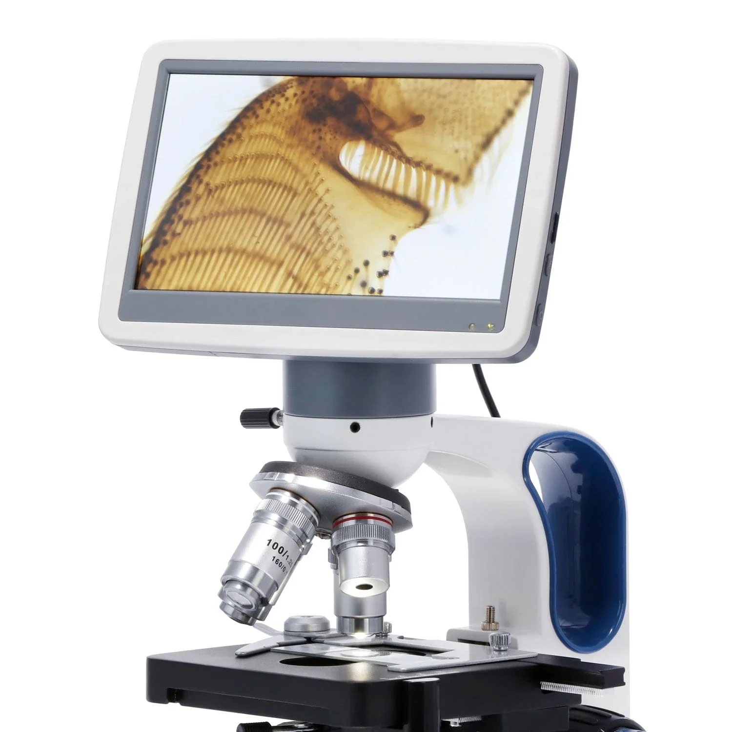 AmScope Advanced Student and Professional LED Compound Microscope w/ 7