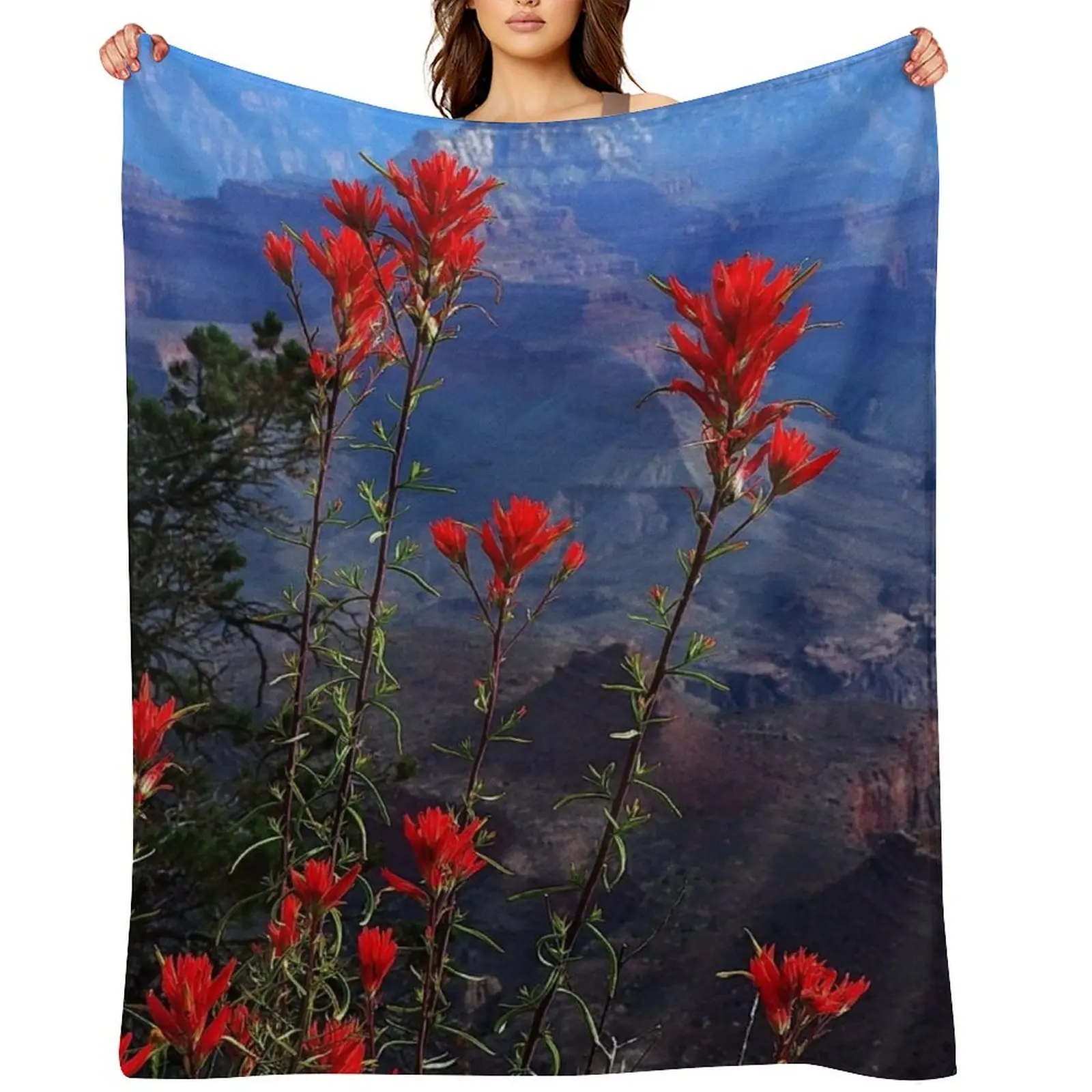 Desert Paintbrush Wildflowers Grand Canyon Arizona Throw Blanket Kid'S halloween Weighted For Sofa Thin Blankets