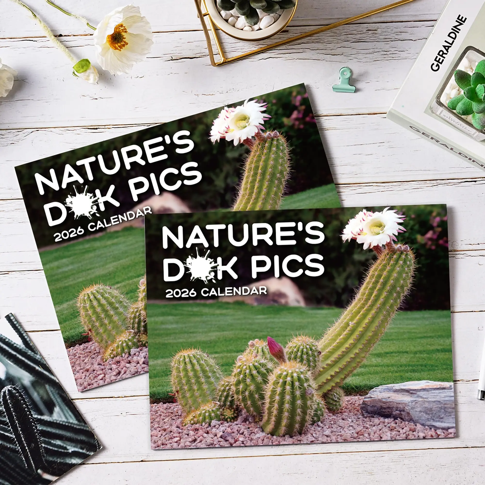 هدايا الكمامة - تقويم حائط مضحك 2026 مع ورق سميك و12 رسوم توضيحية صبار مضحكة ديكور مكتب هدية مخطط مضحك لمدة 12 شهرًا #1