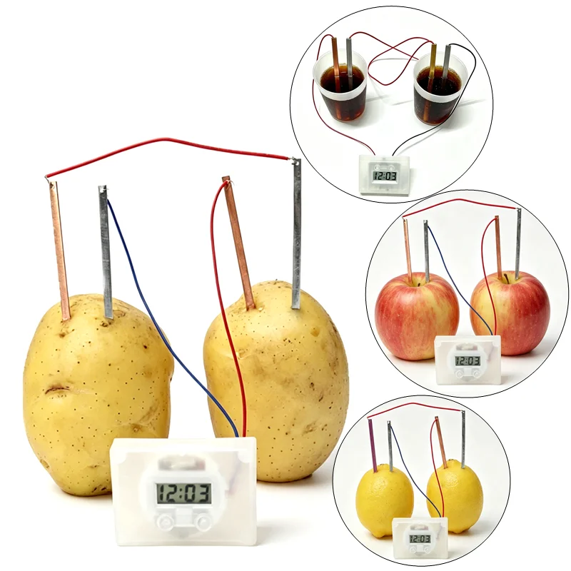 Potato Clock Science Experiment Kit Fruit Vegetable Battery DIY Physics Educational Toy for Kids Students STEM School Teaching L