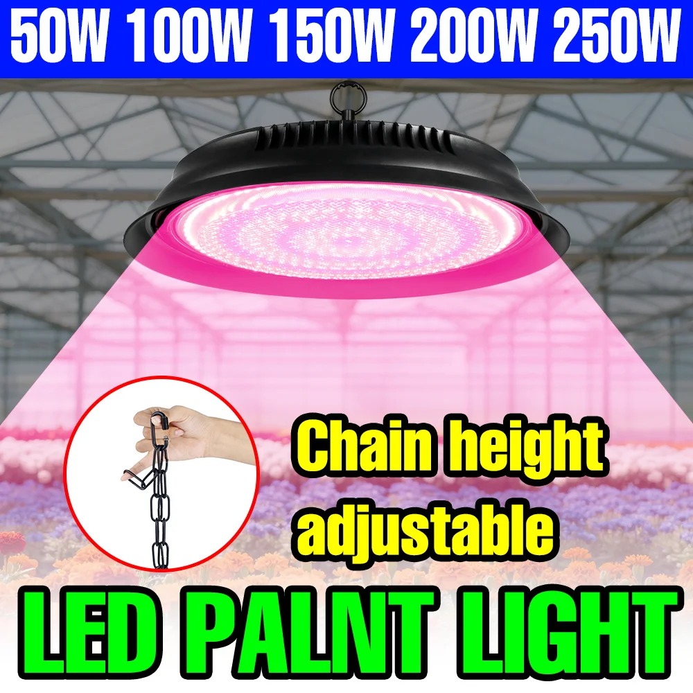 250 W LED Vollspektrum Wachsen Lampe 220 V Pflanzenanbau Lichter Gewächshaus Zelt Obst Gemüse Hydrokultur Füllen Beleuchtung US/EU Stecker