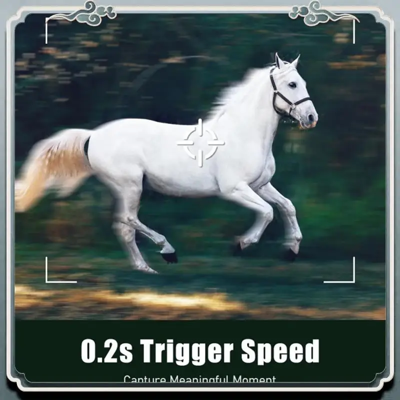 4G Sim Card LTE Cellular 4W Solar 7800Mah Battery Hunting Trail Motion Activated Night Vision 4MP IP66 Camera(US) Durable