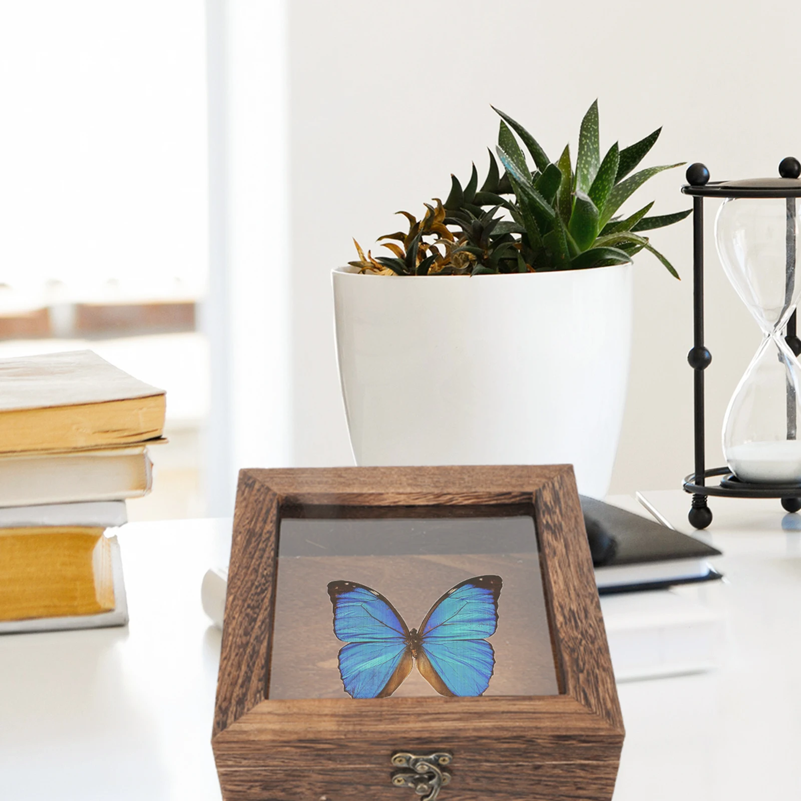 

Butterfly Specimen Box 15x15x4.5cm Wooden Display Case for Insect Collectibles Jewelry Sample Storage Box Retro Style