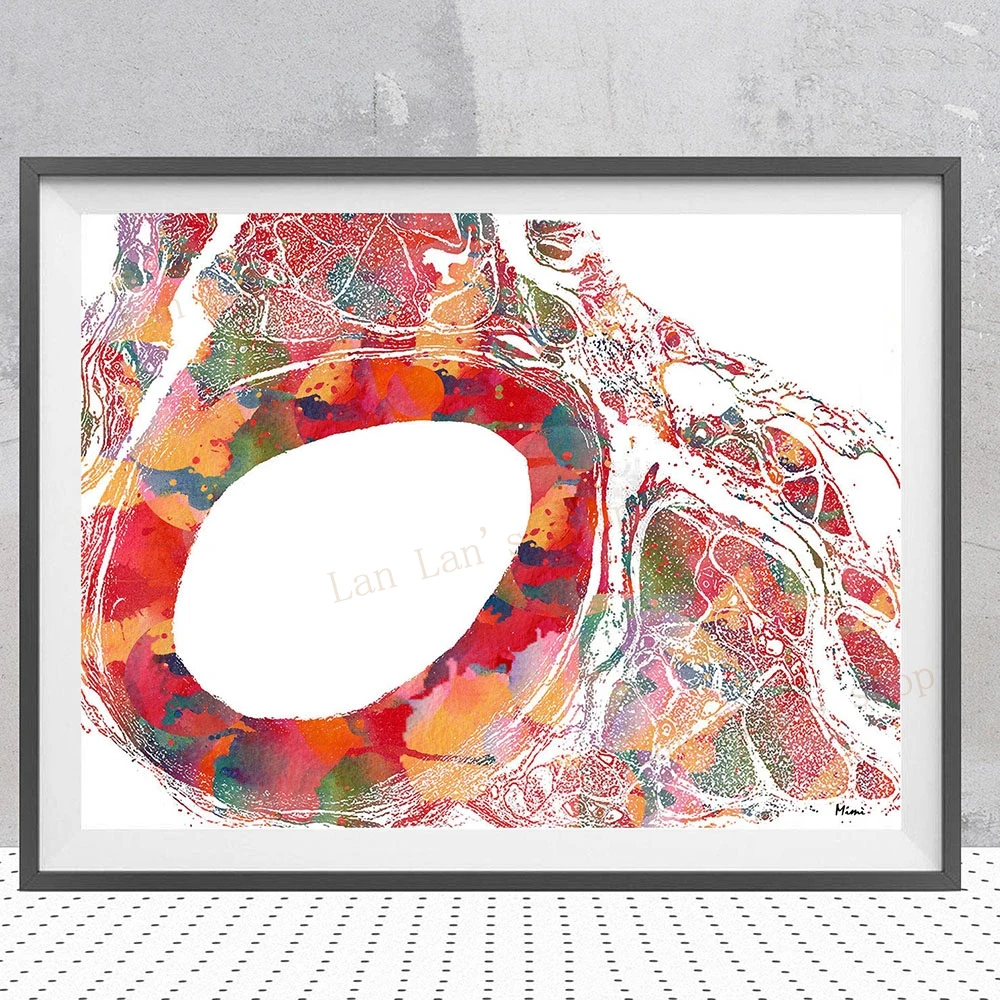 Aorta Cross Section Histology Watercolor Print Circulatory System Poster Vascular Aorta Anatomy Canvas Painting Art Picture