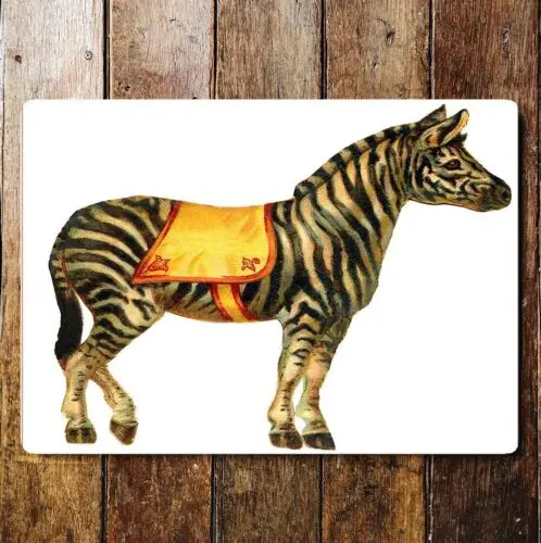 Zebra stripes balnket    metal sign plaque