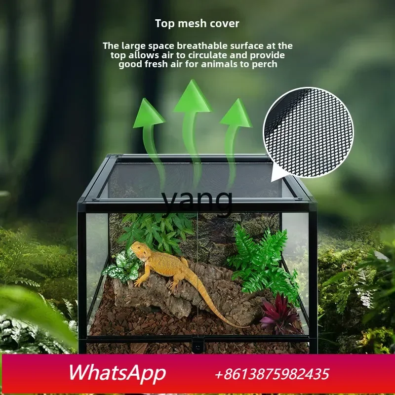 

LMM feeding box turtle mane lion lizard snake guardian frog rainforest tank glass tank