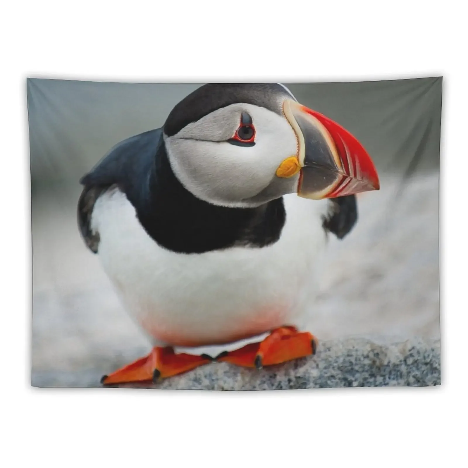 

Puffin Tapestry Japanese Room Decor Aesthetic Room Decorations Tapestry