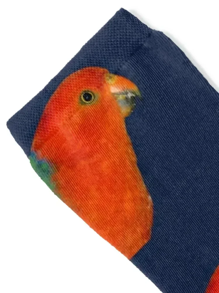 Australian King-Parrot male Socks ankle football with print halloween Ladies Socks Men's