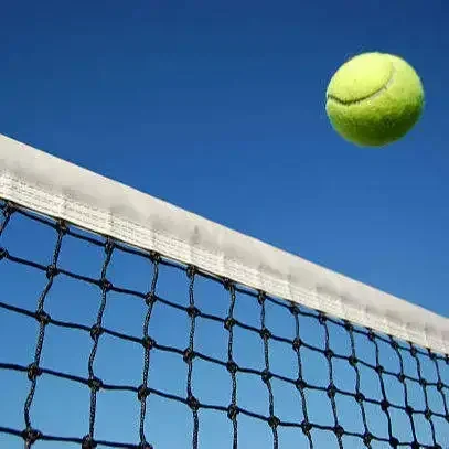 

2026 Professional Sports Net Portable Training Tennis Net for Sales