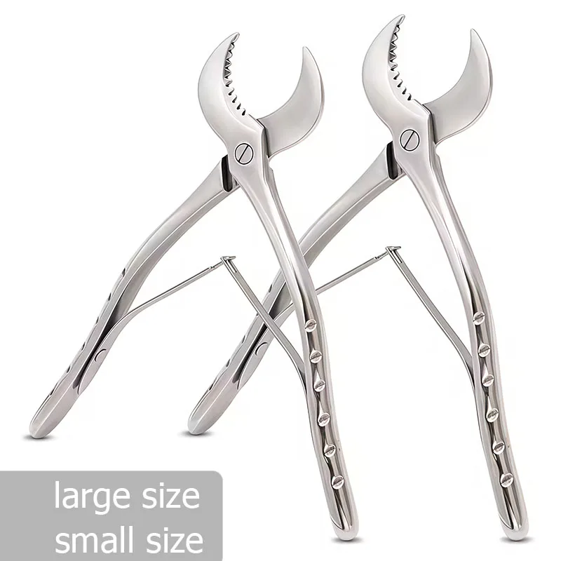 Dental Lab Gypsum Scissors Shears Scissiors Stainless Steel Forceps Instrument Gypsum Plaster Material Scissors Dental Equipment