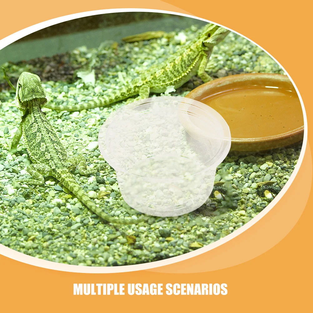 30 قطعة طبق ماء أبو بريص متوج الغذاء سحلية خزان الملحقات ABS المغذية الكؤوس 100 قيراط