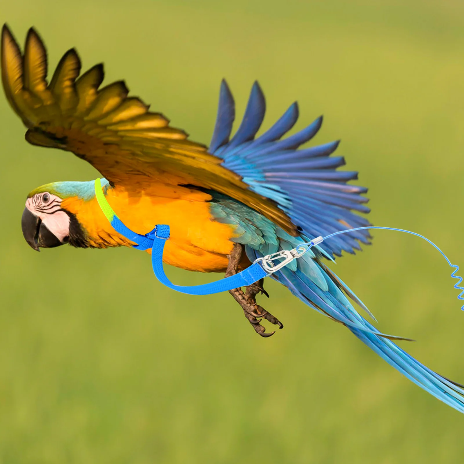

2Pcs Parrot Leash Bird Harness Adjustable Safe Material Non Slip Handle Cockatiel Accessories Pet Training Outdoor Use Health