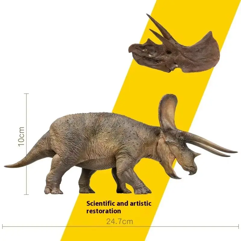

Dinosaur Museum 1:35 Science and Art Model Triceratops Dolly with Triceratops Head Collect Ornaments Festival Gift To Friends