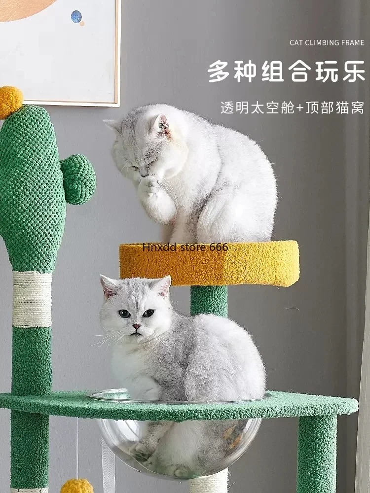 Kattenklimframe Zomercapsule Bezet De Kattenbenodigdheden Van Het Springplatform Niet