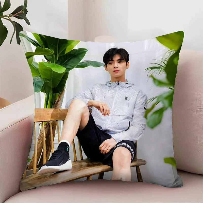 C-Cha Eun Woo Cover for Pillow Covers Decorative Luxury Cushion Cover Pillowcases for Pillows 45x45 Aesthetic Room Decoration