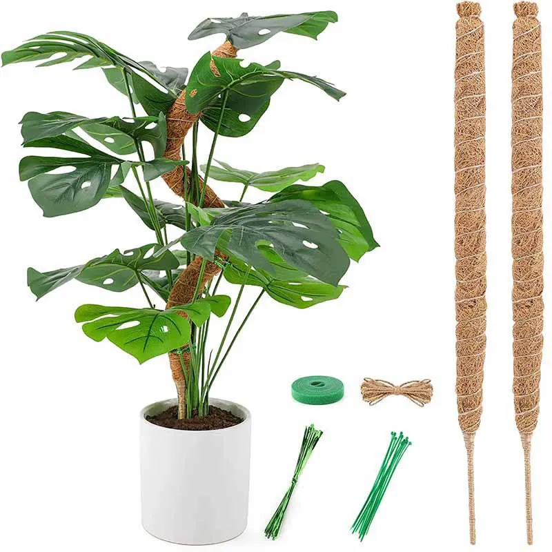 

Moss Poles Are Used for Indoor Plant Climbing Support and Can Be Bent DIY Shaped Plant Coconut Palm Sticks