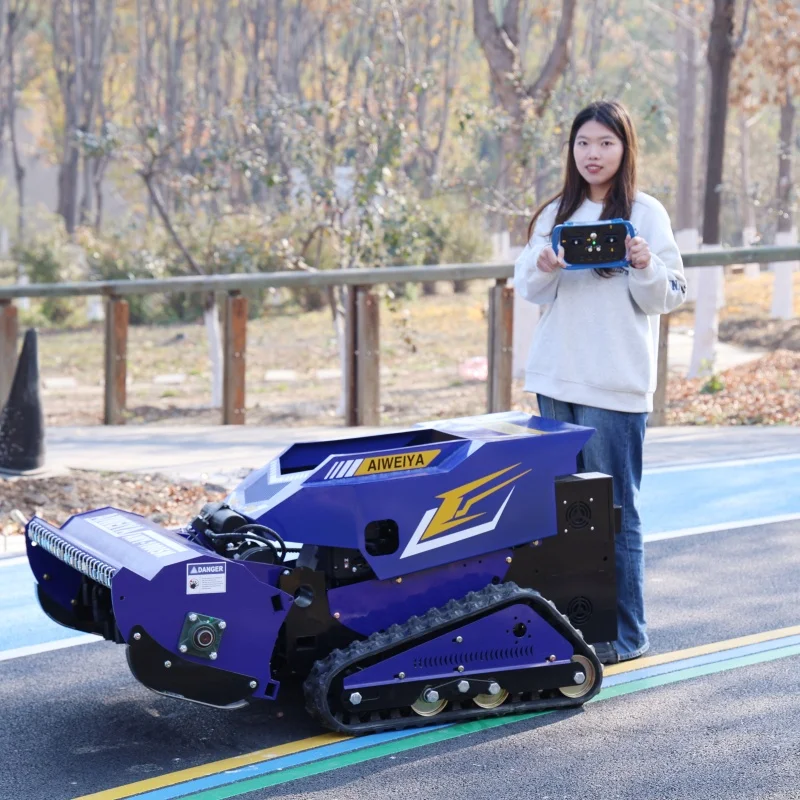 

Customized hot selling new lawn mower, agricultural farm garden remote control lawn mower, multifunctional Rc flail lawn mower