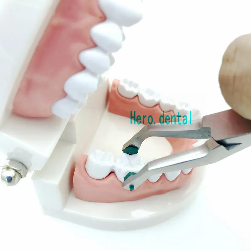 Crown Plier With Green Rubber Tipped Dental Surgical Plier Dental Plier Instrument