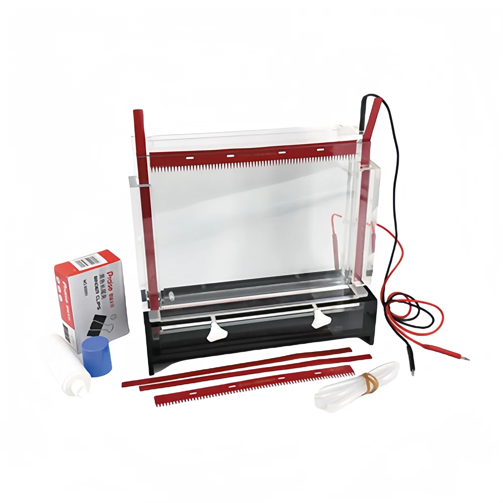 DYCZ-20C Gel Size (LxW)  300*340mm 1500ml Electrophoresis Electrophoresis Apparatus Hb Electrophoresis Machine