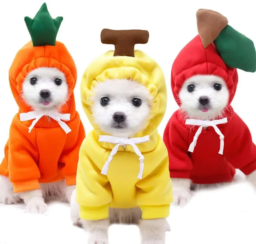 Medium and large Dogs Fruit modeling Coat Cat Autumn Winter Sweaters Clothing Pet Teddy Jacket Hoodies