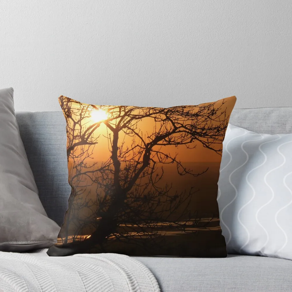 Romney Marsh Sunset Throw Pillow Elastic Cover For Sofa Marble Cushion Cover pillow