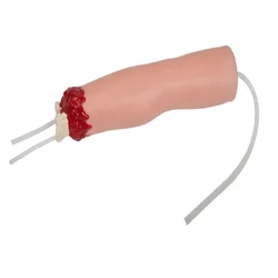 Hemostatic Model of Upper Limb Lower Limb Trauma Amputation Medical Science Simulator Teaching Aids for Medicine College Biology