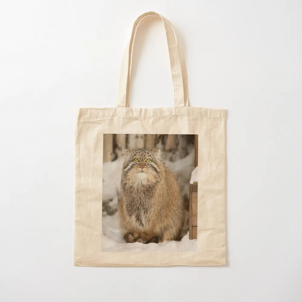 قطة إيما ذا بالاس ينتظر إلى الربيع يأتي حقيبة تسوق قماشية وحقائب مخصصة وحقيبة نسائية