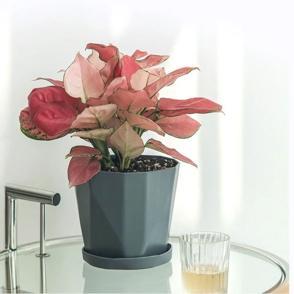 

3 Set Fashion Round Indoor Flowerpots Nordic Resin Plant Pot Thickened Breathable Hole Succulents Pot Indoor