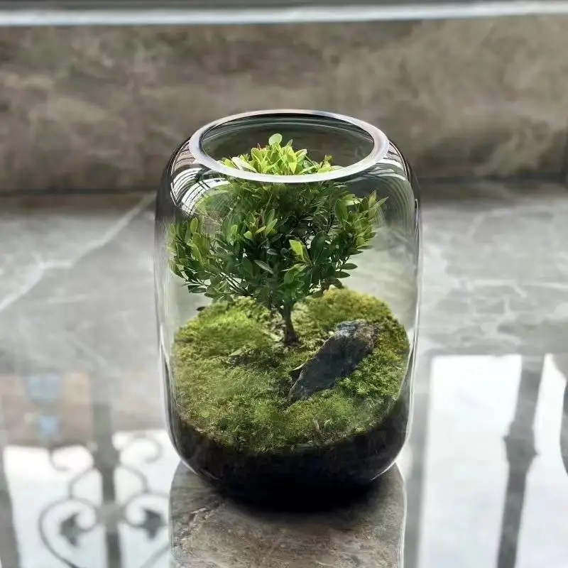 Ecological Miniature Fish Tank Creative Desktop Landscape Decoration Fish And Shrimp Aquarium Eco-Friendly Aquarium Design
