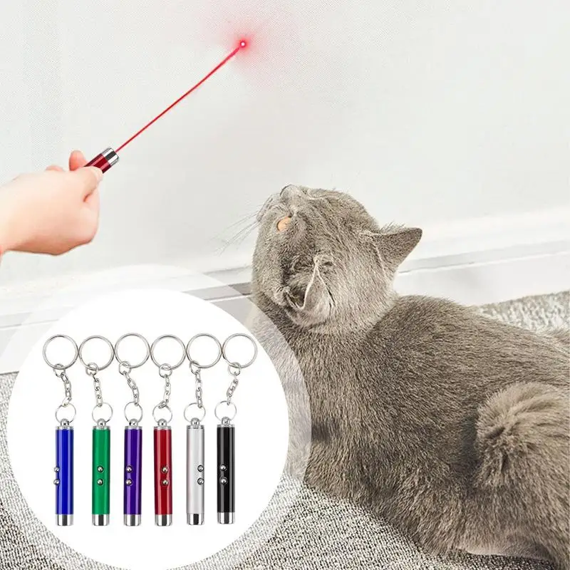 Keychain Red Laser Pointer Pen With White LED Torch Pet Cat Dog Toy Classroom Business Presentation Tool