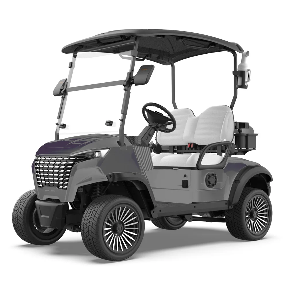 2 Seater Utility Golf Cart Music-playing Community Security Vehicle Energy-saving Golf Cart for Farm Warehouse and Resort