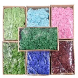 20/40/100g Eternal Life Moss Artificial Plants DIY Crafts Grass Garden Home Room Decor Mini Landscape Fake Grass