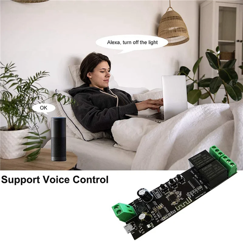 CJSD-2X 2 Channel Wifi Momentary Inching Relay Self-Locking Switch Module Smart Life/Tuya APP Control Wifi Relay Module