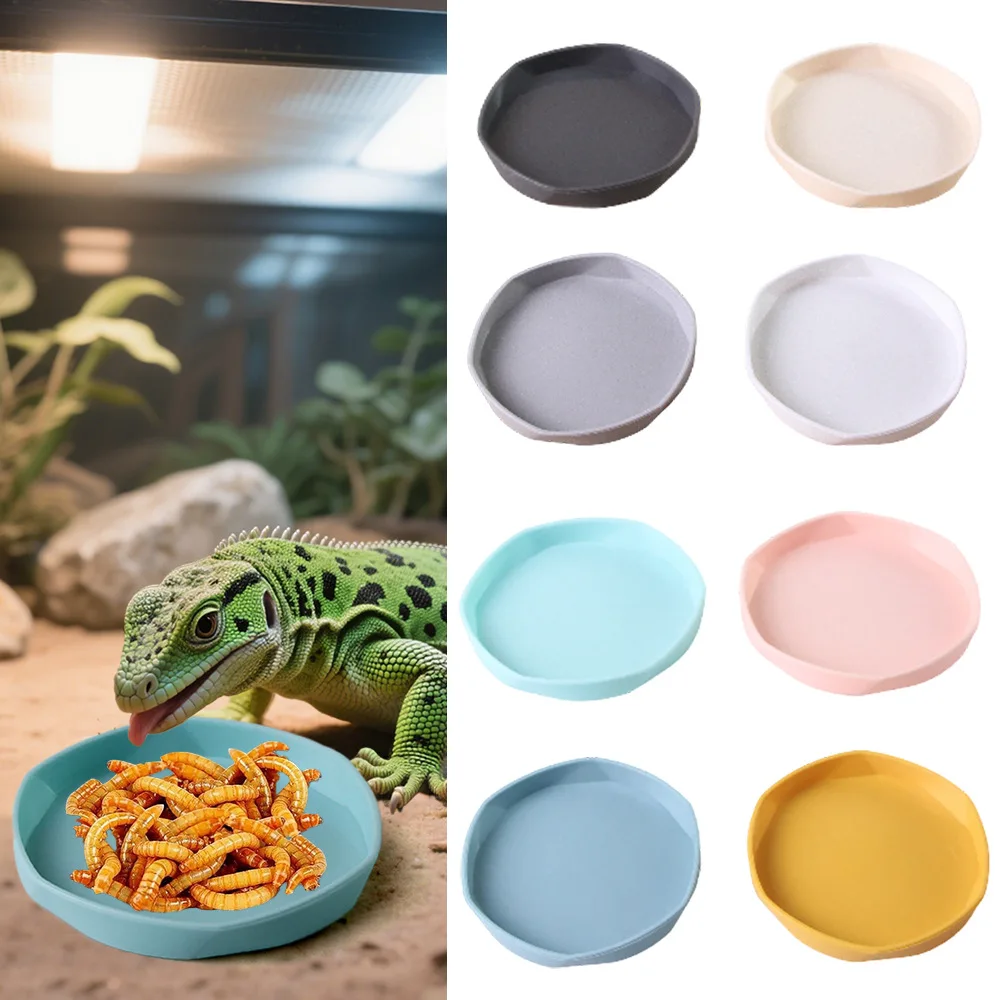 

Reptile Land Turtle Feeding Basin Lizard Feeding Basin Turtle Accessories Easy To Clean Reptile Accessories Pet Feeder