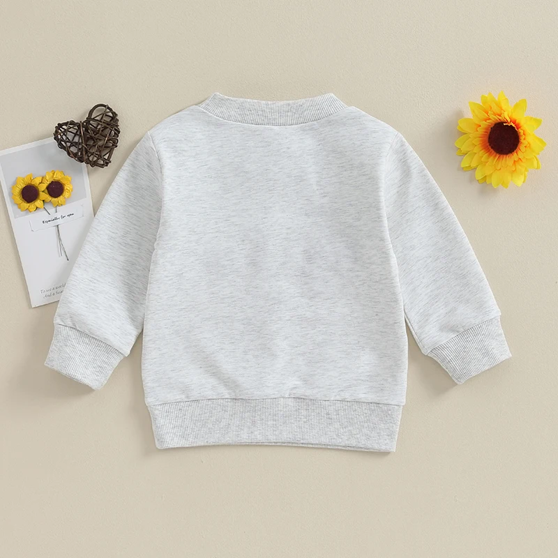 Toddler Sweatshirt/Romper for Spring Autumn Letter Embroidery Coats Newborn Baby Boys Long Sleeve Crew Neck Pullovers Tops Gray