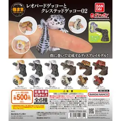 Japanese Genuine Gacha Scale Model Biological Cognitive Model Ring Decoration Sand Lizard Gecko Action Figure Toys