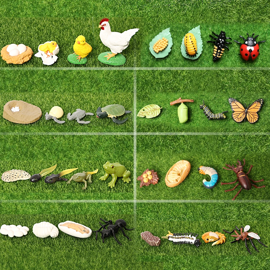 

Simulation Animals Ladybug,Butterfly,Frogs,Turtle,Ant,Mosquito,Chicken Growth Life Cycle Figurines Model Action Figures Toy