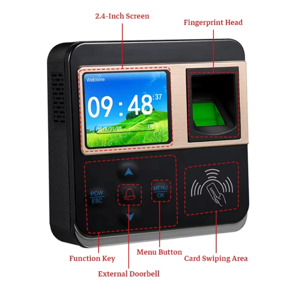 Realand Fingerprint Access Control Device 5000 Users 125KHz EM RFID Card TCP/IP USB Wiegand Door Lock Controller  for Office