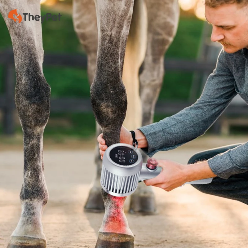 Veterinary La-ser Therapy Machine Equine La-ser Treatment Physical Equipment For Horses Pets