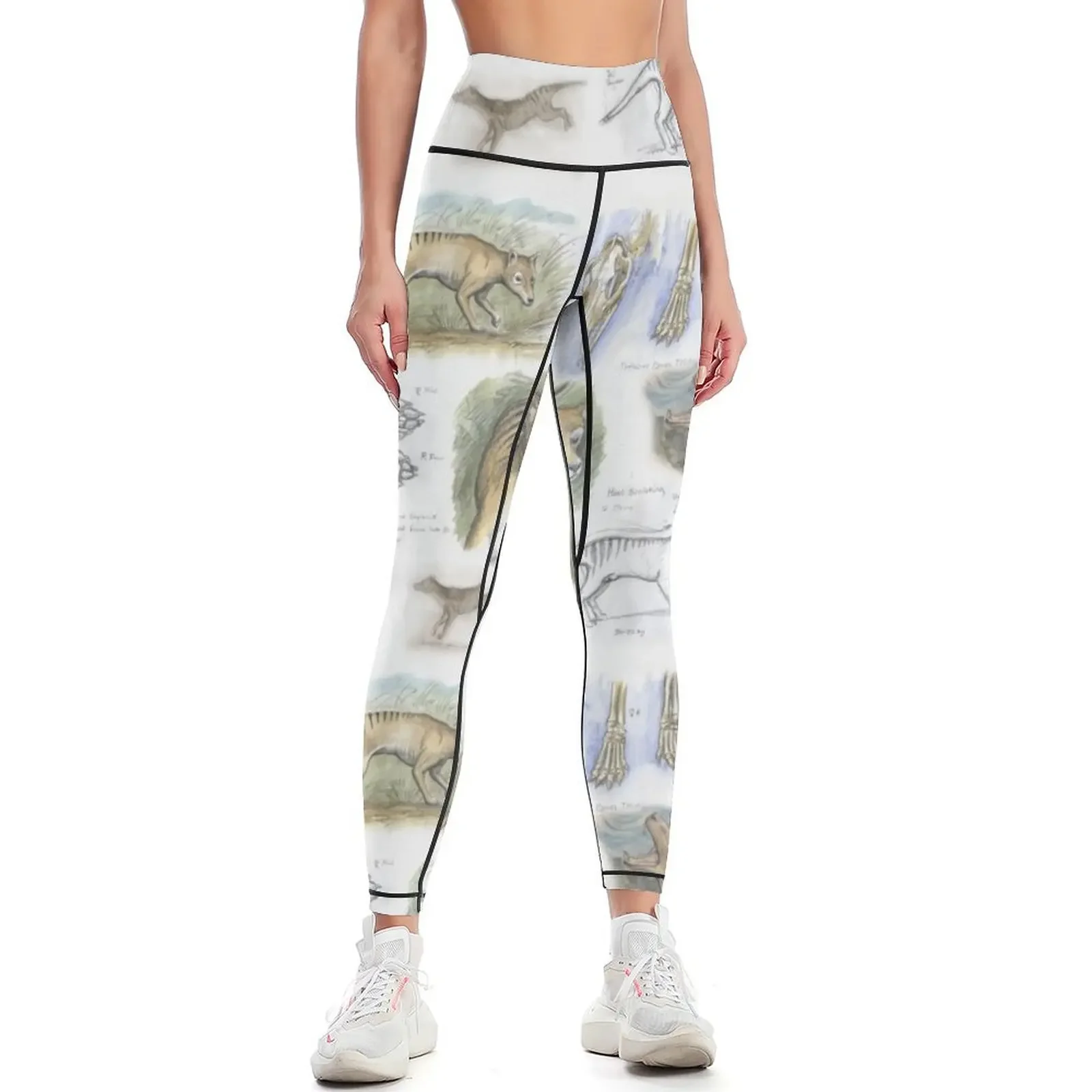 

Thylacine journal Leggings for physical high waist flared jogging pants Womens Leggings